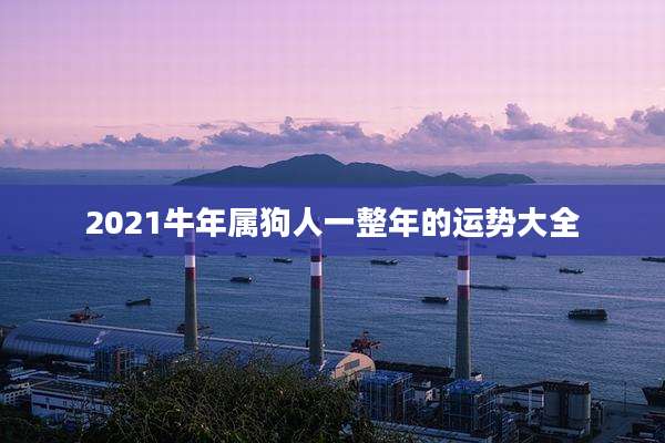 2021牛年属狗人一整年的运势大全