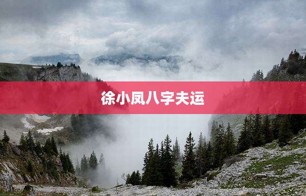 徐小凤八字夫运
