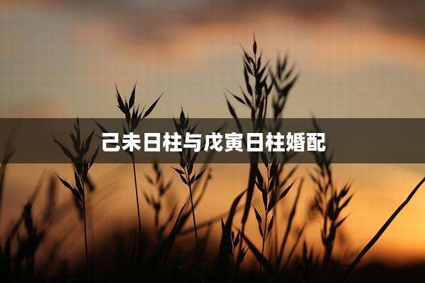 己未日柱与戊寅日柱婚配