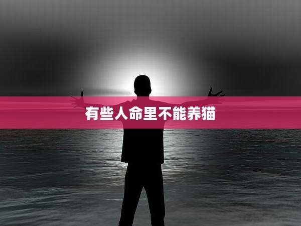 有些人命里不能养猫
