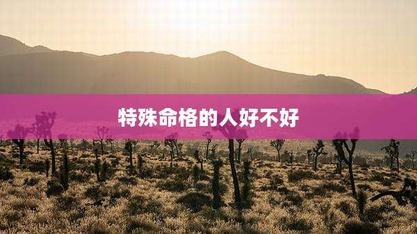 特殊命格的人好不好