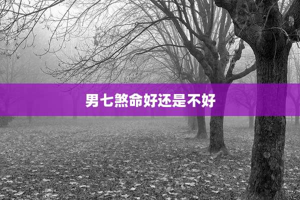 男七煞命好还是不好