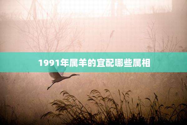 1991年属羊的宜配哪些属相