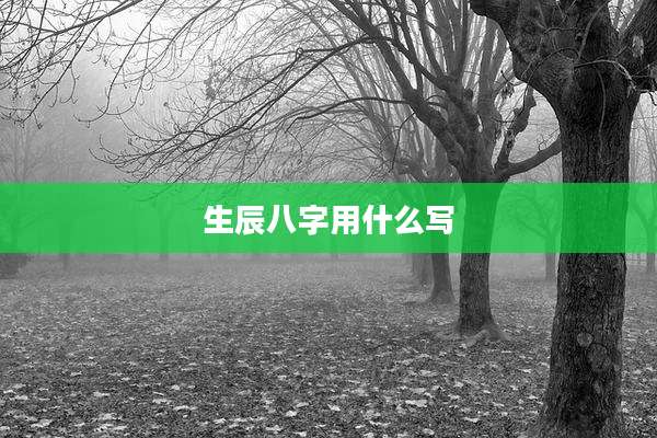 生辰八字用什么写