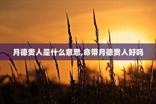 月德贵人是什么意思,命带月德贵人好吗