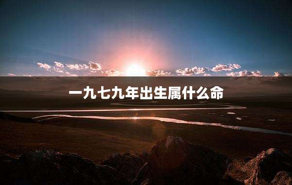 一九七九年出生属什么命