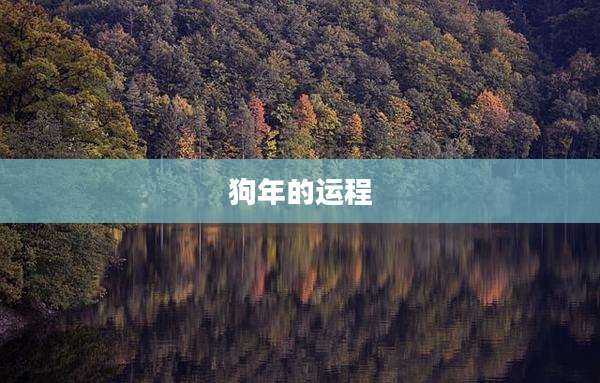 狗年的运程