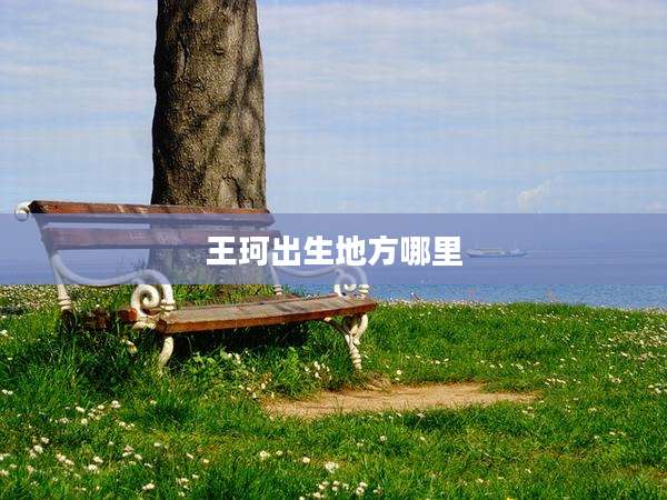 王珂出生地方哪里