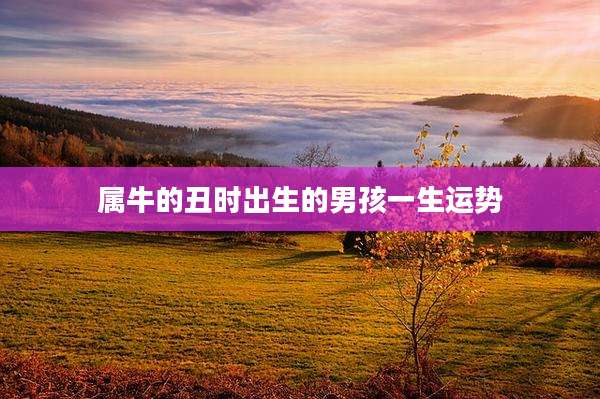 属牛的丑时出生的男孩一生运势