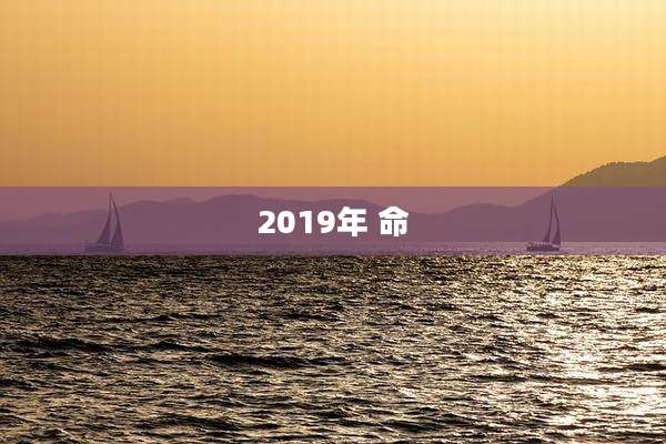 2019年 命