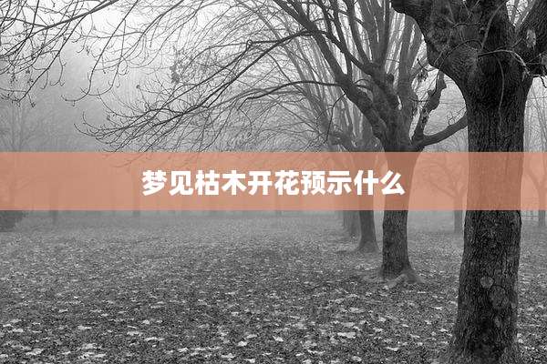梦见枯木开花预示什么