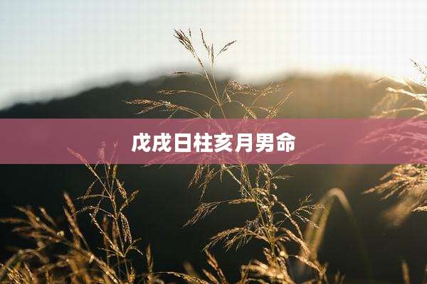 戊戌日柱亥月男命