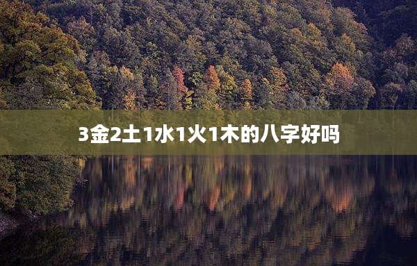 3金2土1水1火1木的八字好吗