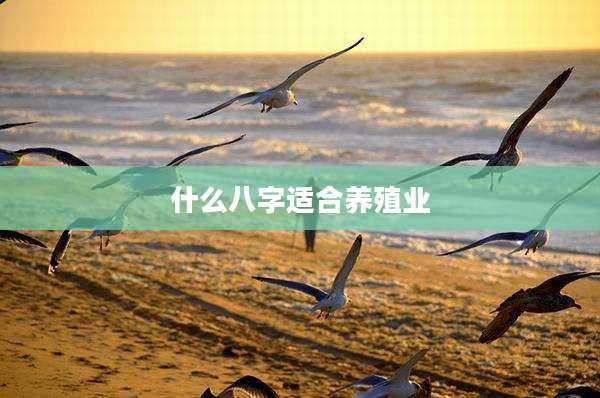 什么八字适合养殖业
