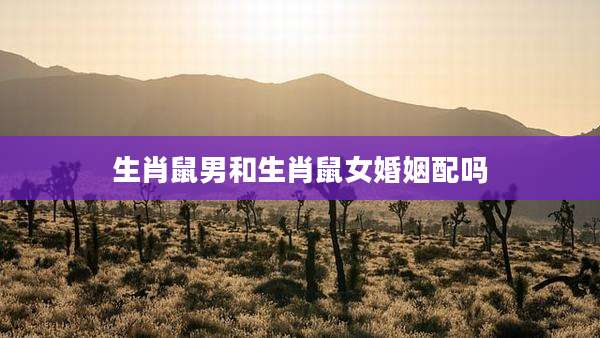 生肖鼠男和生肖鼠女婚姻配吗