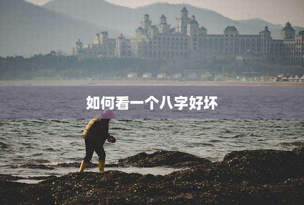 如何看一个八字好坏