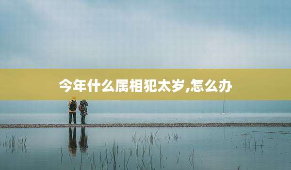 今年什么属相犯太岁,怎么办
