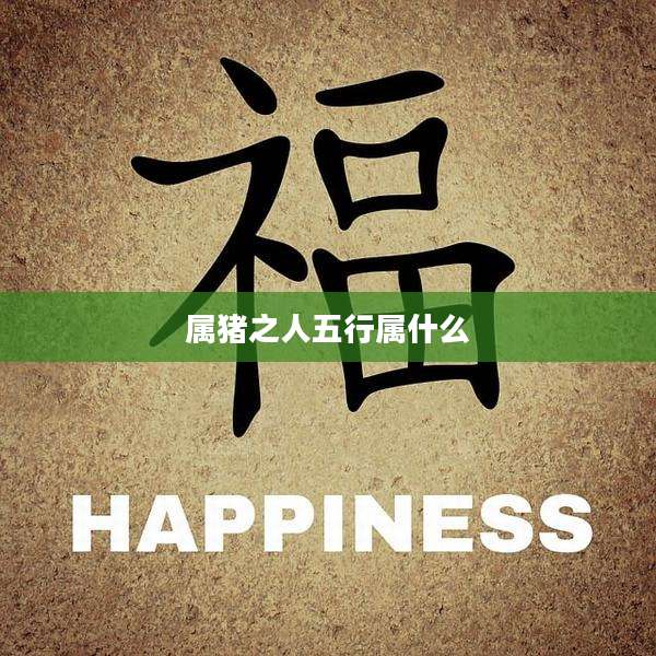 属猪之人五行属什么