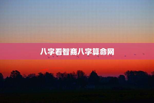 八字看智商八字算命网