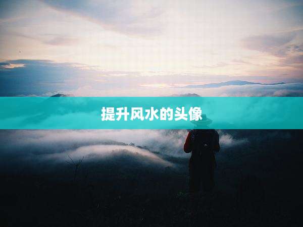 提升风水的头像