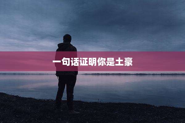 一句话证明你是土豪