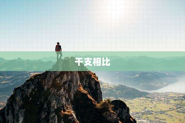 干支相比