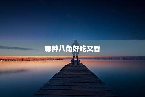 哪种八角好吃又香