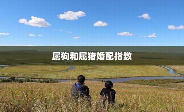 属狗和属猪婚配指数