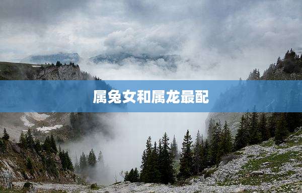 属兔女和属龙最配