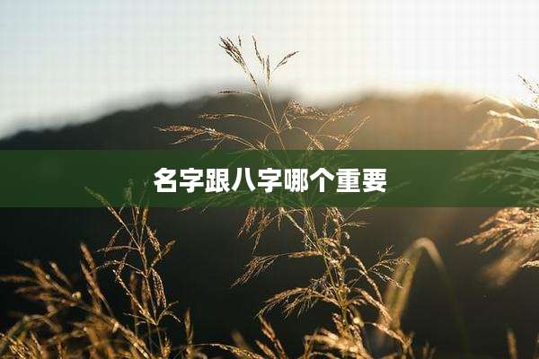 名字跟八字哪个重要