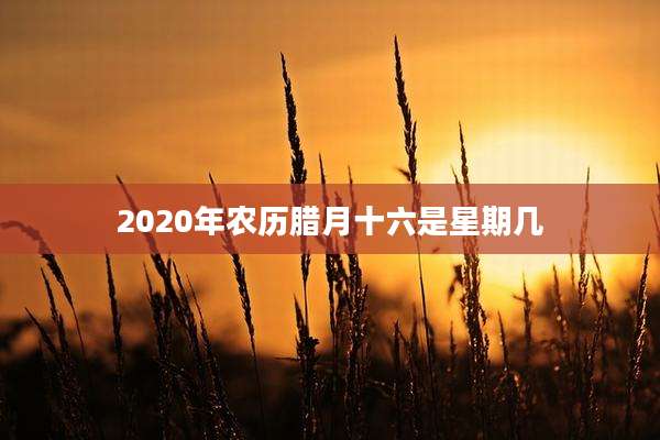 2020年农历腊月十六是星期几