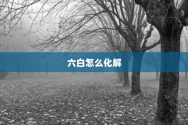 六白怎么化解