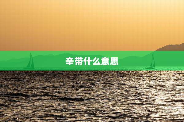 辛带什么意思