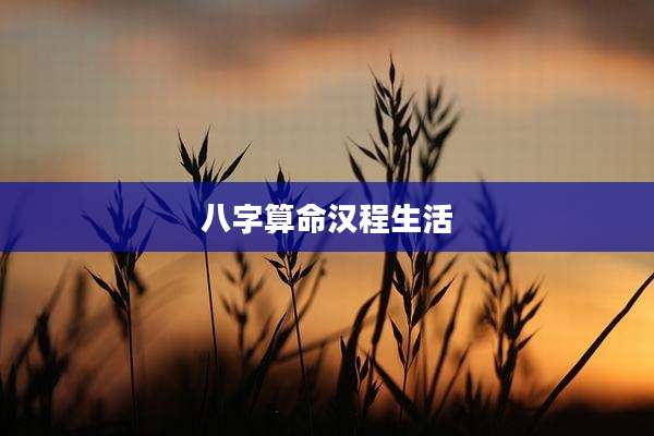 八字算命汉程生活