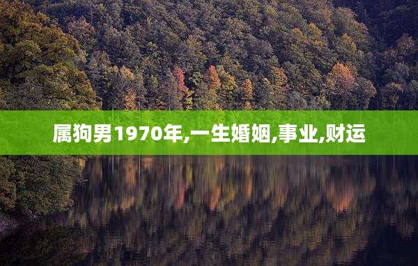 属狗男1970年,一生婚姻,事业,财运