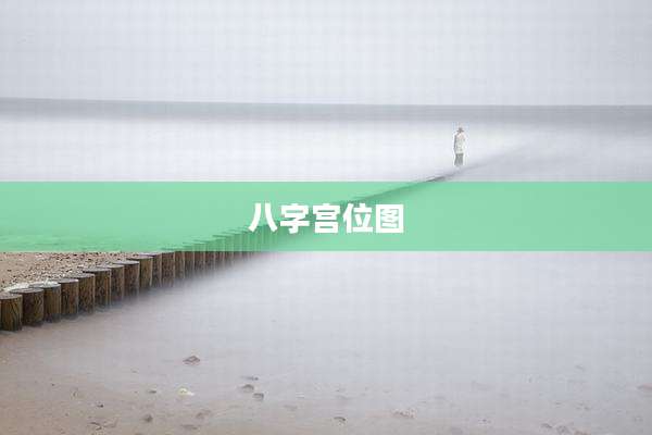 八字宫位图