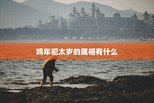 鸡年犯太岁的属相有什么