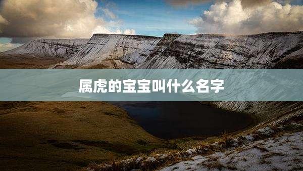 属虎的宝宝叫什么名字