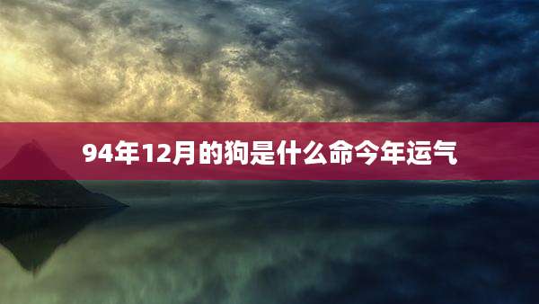 94年12月的狗是什么命今年运气