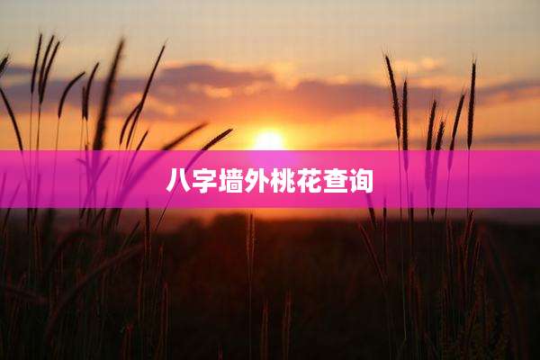 八字墙外桃花查询