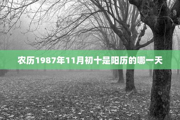 农历1987年11月初十是阳历的哪一天