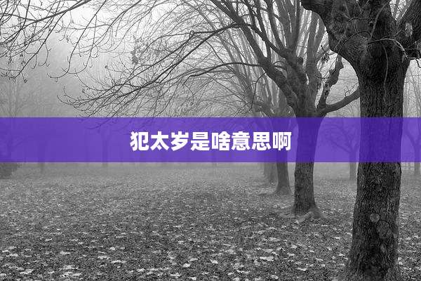 犯太岁是啥意思啊