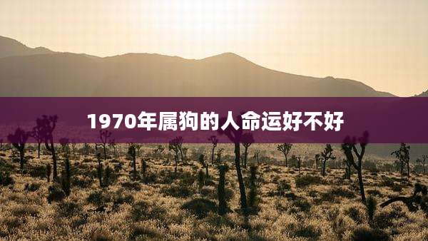 1970年属狗的人命运好不好