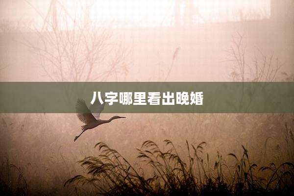 八字哪里看出晚婚
