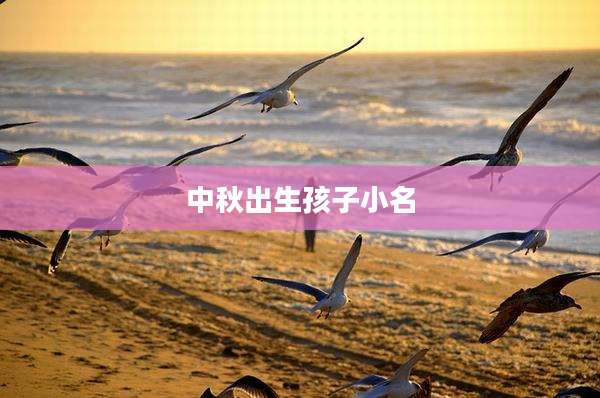 中秋出生孩子小名