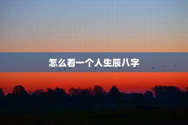 怎么看一个人生辰八字