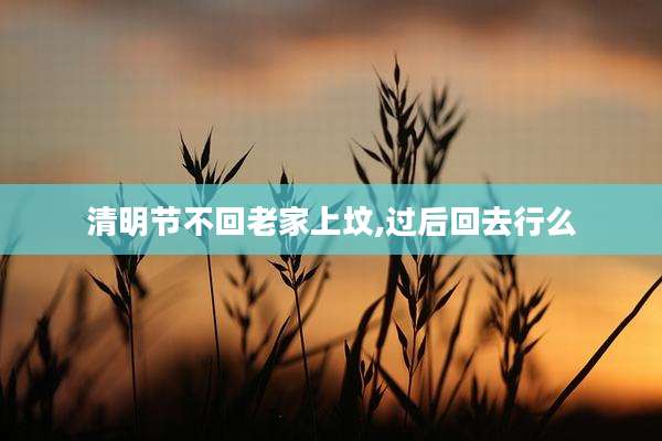 清明节不回老家上坟,过后回去行么
