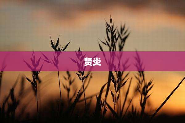 贤炎