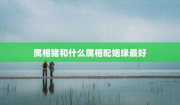 属相猪和什么属相配姻缘最好