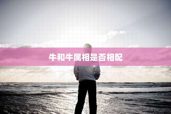 牛和牛属相是否相配
